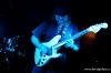 Deep purple, tedy Purple Eye v Bardu
