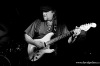 Deep purple, tedy Purple Eye v Bardu