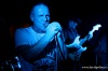 Deep purple, tedy Purple Eye v Bardu