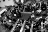 Léto nad Lužnicí: Zahalená Kratochvílová pokřtila desku, Váňa začal výstavu