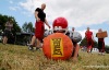 Dobrovol Fest 2014: Kapely a stovky lidí pomohly Rolničce