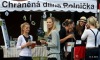 Dobrovol Fest 2014: Kapely a stovky lidí pomohly Rolničce
