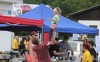 Dobrovol Fest 2014: Kapely a stovky lidí pomohly Rolničce