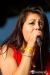 MusicFest Přeštěnice 2014: Pátek patřil Divokému Billovi, Mig 21 a Inému Kafe