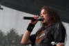 MusicFest Přeštěnice 2014: Krásné počasí, Sto zvířat, Olympic a Škwor
