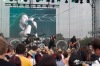 MusicFest Přeštěnice 2014: Krásné počasí, Sto zvířat, Olympic a Škwor