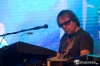 MusicFest Přeštěnice 2014: Krásné počasí, Sto zvířat, Olympic a Škwor
