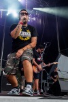 Mighty Sounds 2014: Páteční veselí podruhé! 