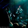 Mighty Sounds 2014: Páteční veselí podruhé! 