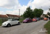 Hosín přivítal přes stovku brouků
