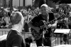 Bohemia Jazz Fest 2014 začal na jihu Čech v Táboře. Nabídl jazz s přesahy