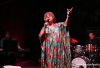 Bohemia Jazz Fest 2014: Žhavá Brazílie, slovanské děvy i domácí kytarová veličina 