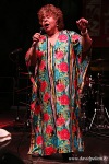 Bohemia Jazz Fest 2014: Žhavá Brazílie, slovanské děvy i domácí kytarová veličina 