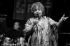 Bohemia Jazz Fest 2014: Žhavá Brazílie, slovanské děvy i domácí kytarová veličina 