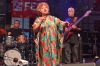 Bohemia Jazz Fest 2014: Žhavá Brazílie, slovanské děvy i domácí kytarová veličina 