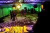 Fest Pod Parou: Číro se dá postavit i bahnem