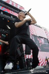 Sziget festival 2014: Korn a Klaxons svlékali holkám podprsenky