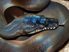 Móda&design: Holographic Style - Hot or Not? 