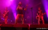 Táborská setkání 2014: Vrcholem festivalu byla Rottrová, Tata Bojs a Vees