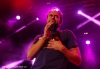 Táborská setkání 2014: Vrcholem festivalu byla Rottrová, Tata Bojs a Vees