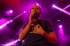 Táborská setkání 2014: Vrcholem festivalu byla Rottrová, Tata Bojs a Vees