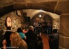 Táborská setkání 2014: Vrcholem festivalu byla Rottrová, Tata Bojs a Vees