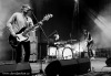 Táborská setkání 2014: Vrcholem festivalu byla Rottrová, Tata Bojs a Vees