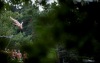 Pět nejlepší skokanů, kteří přijedou na Desperados High Jump 2015