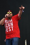 Sziget festival 2015: Pěkně ostrej začátek. Holy Olga, Irie Maffia a tisíce na Williamse