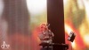 Sziget festival 2015: Květinová divoženka Florence a písničky u táboráku 