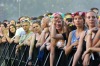 Sziget festival 2015: Květinová divoženka Florence a písničky u táboráku 