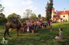 Čtyři dohody na Brandlíně navštívily stovky lidí. Orel odletěl za deset tisíc korun