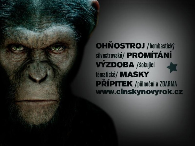 V Univerzitě oslaví Nový rok opice hudbou, promítáním i ohňostrojem