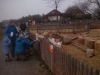 Táborská zoologická zahrada zahájila novou sezónu