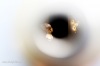Co se děje za kukátkem? Voyeur nabízí vesmírná světla a uspokojení