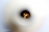 Co se děje za kukátkem? Voyeur nabízí vesmírná světla a uspokojení