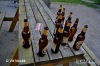 Táborský majáles provázelo pěkné počasí, lidí mohlo být více