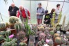 Kvetoucí kaktusy přilákaly stovky lidí 