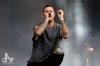 Sziget končili The Last Shadow Puppets, Hardwell i Crystal Castles. A ohňostroj