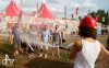 Sziget končili The Last Shadow Puppets, Hardwell i Crystal Castles. A ohňostroj