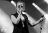 Sziget končili The Last Shadow Puppets, Hardwell i Crystal Castles. A ohňostroj