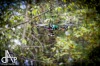 Bikepark postavili nadšenci na skládce, nyní ho prověřily závody. Létalo se o sto šest