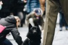 17. listopad 2016: Svoboda pod dohledem. Národní třída zněla hudbou, Václavák budíky