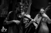 Koledy, chlast a rokenrol. Nebo dřevité blues U Lva