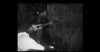 V Protivíně výstavují fotografie tři autoři. Téma je muzika i retro