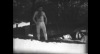 V Protivíně výstavují fotografie tři autoři. Téma je muzika i retro