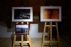 V Protivíně výstavují fotografie tři autoři. Téma je muzika i retro