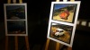 V Protivíně výstavují fotografie tři autoři. Téma je muzika i retro