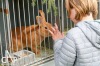 Léta Starý statek chřadl. K životu se pro veřejnost probudil o Velikonocích 