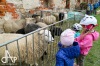Léta Starý statek chřadl. K životu se pro veřejnost probudil o Velikonocích 